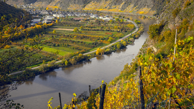 Moseldalen fr�n Gotland